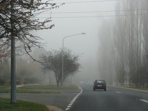 June 2007 fog on a winter day IMG_4329