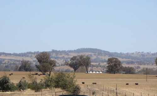 near_Albury2_drought_NSW_forrest_fire_smoke near_Albury2_drought_NSW_forrest_fire_smoke