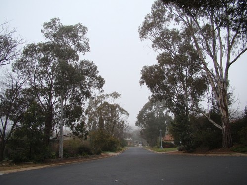 grey day in my street DSC07846
